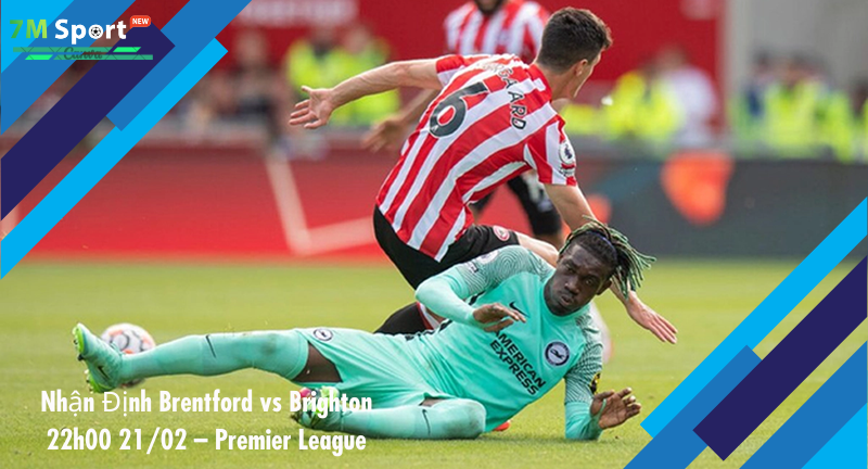 Đội hình dự kiến trước trận Brentford vs Brighton Đội hình dự kiến trước trận Brentford vs Brighton